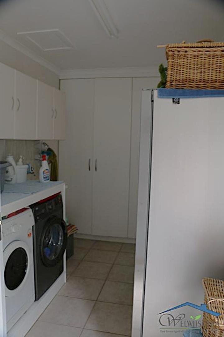 731417_mini_IMG_3167.JPG