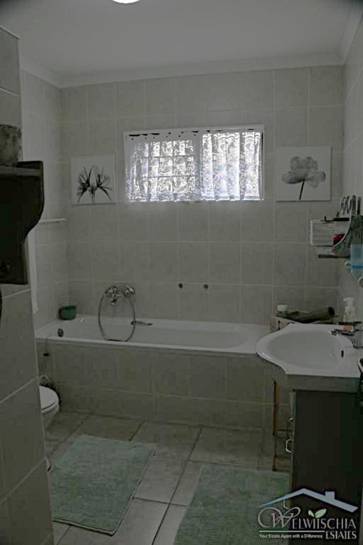 731417_mini_IMG_3181.JPG