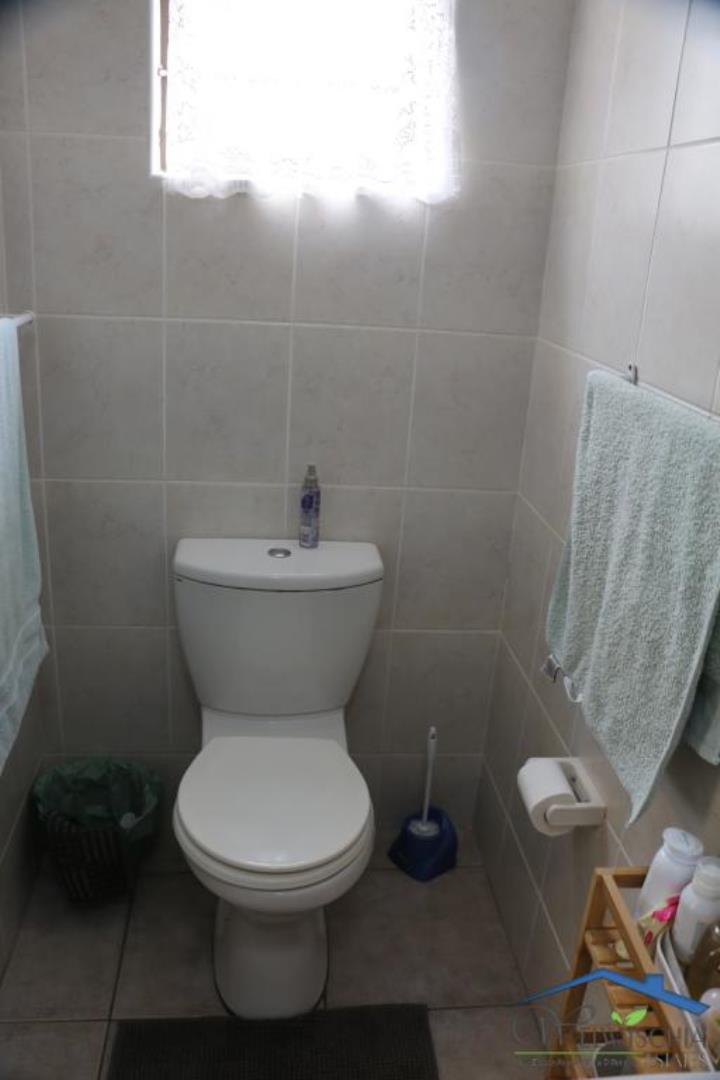 731417_mini_IMG_3191.JPG