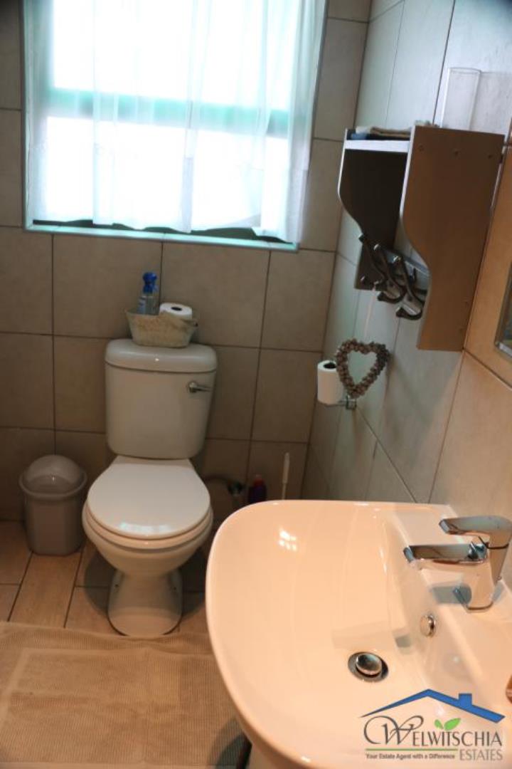731417_mini_IMG_3211.JPG