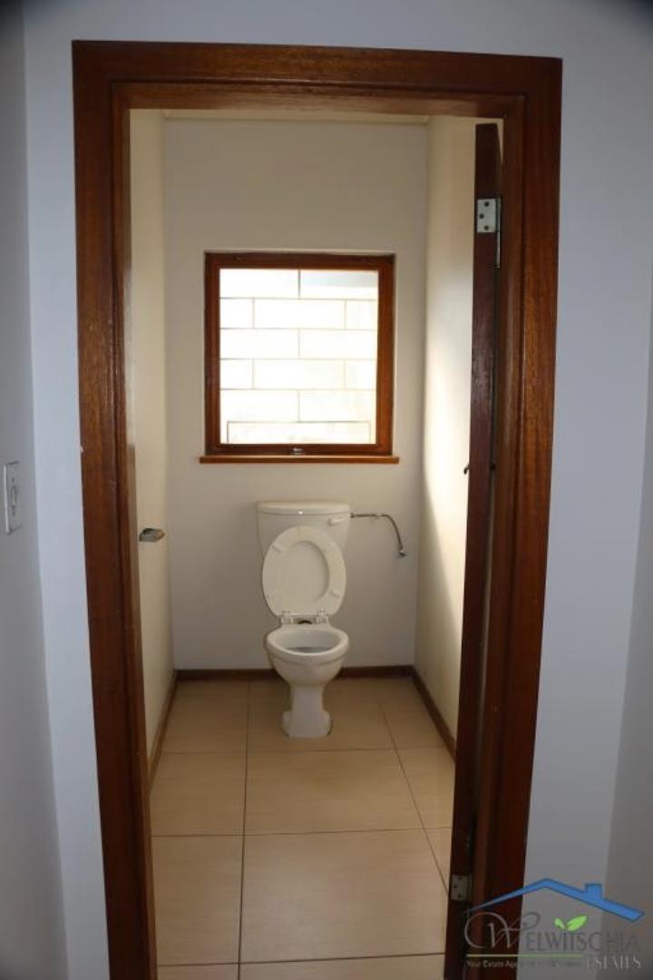 752845_mini_IMG_4175.JPG