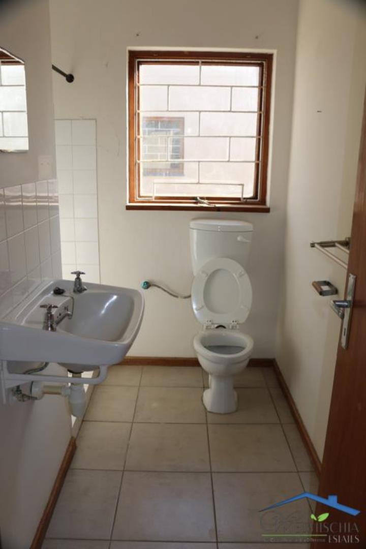 752845_mini_IMG_4191.JPG