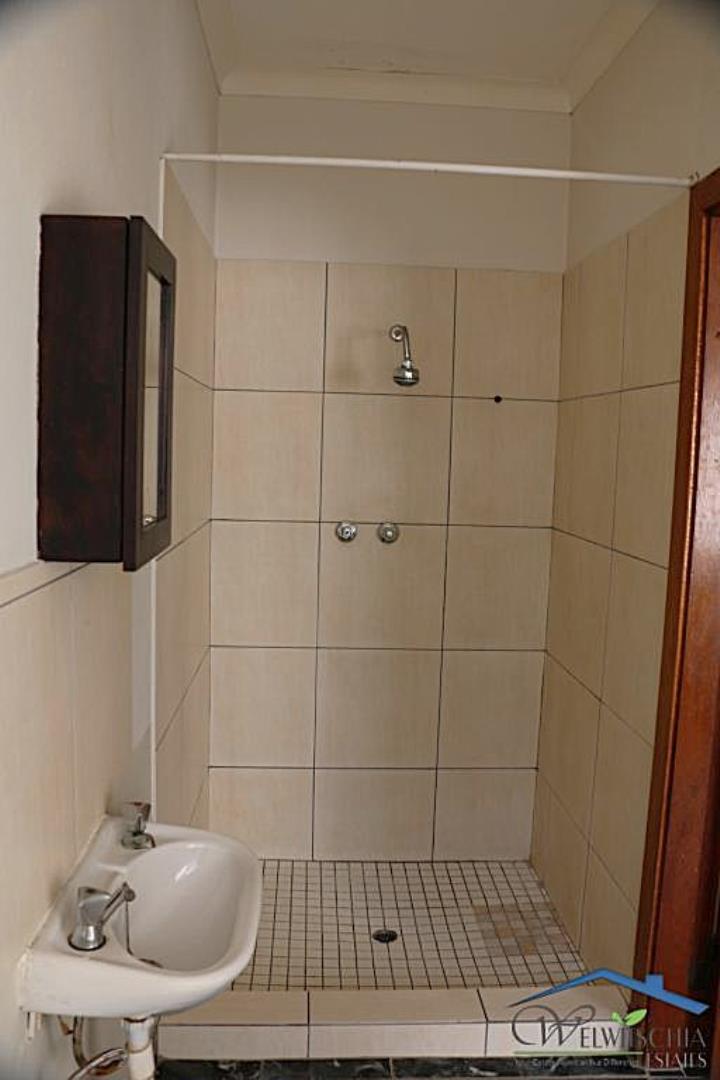 752845_mini_IMG_4195.JPG