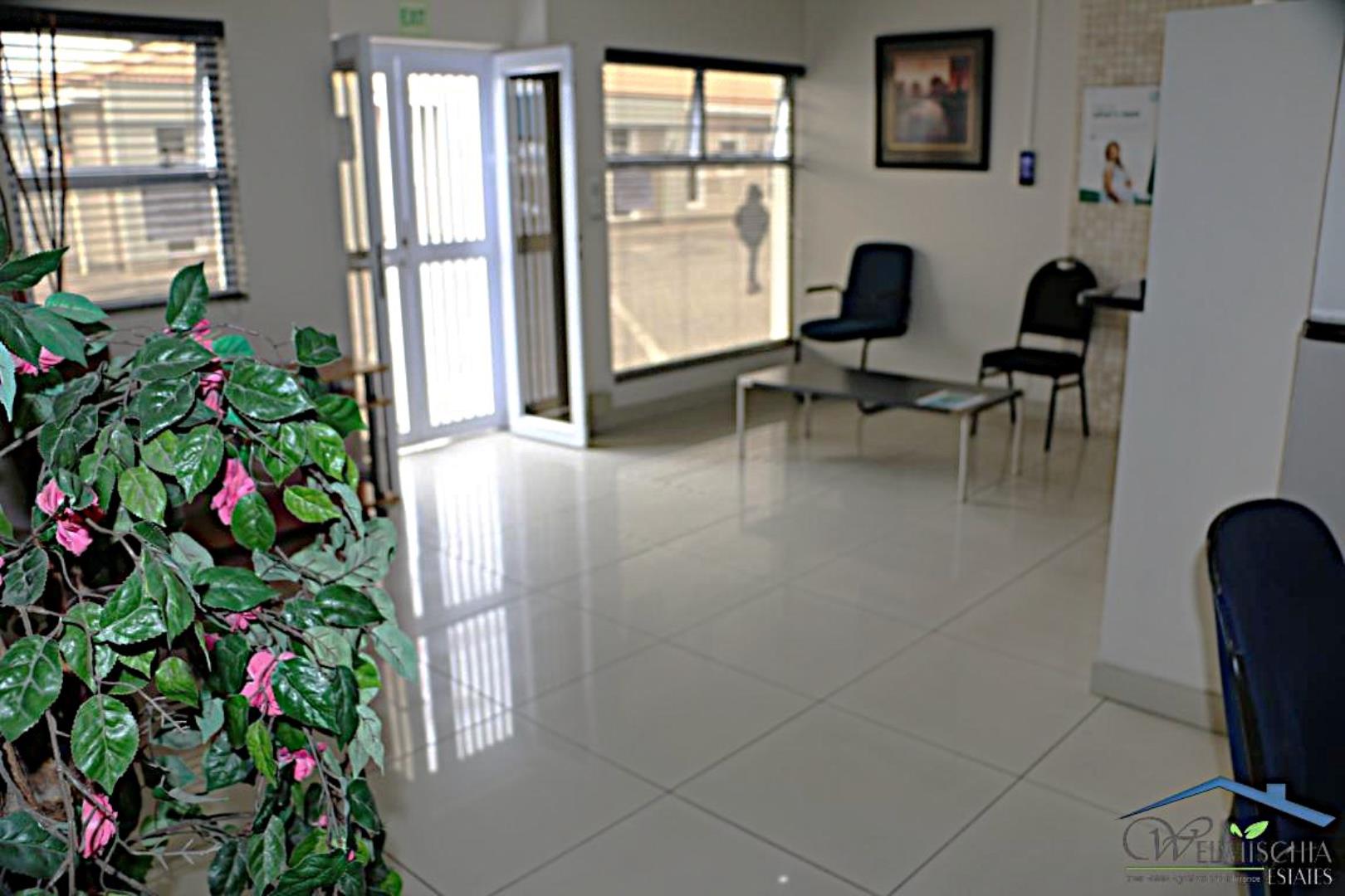 765969_mini_IMG_5246.JPG