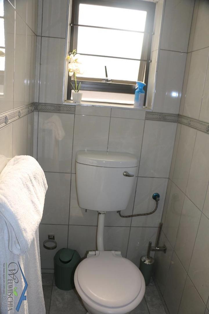 766370_mini_IMG_5884.JPG