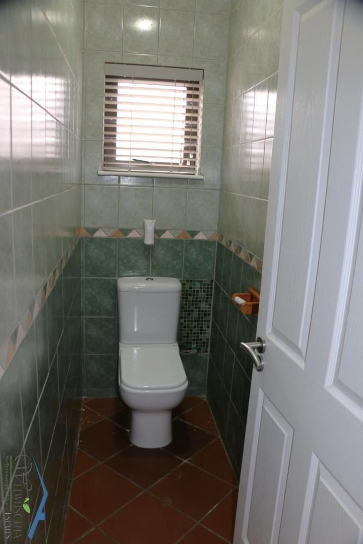 768561_mini_IMG_6262.JPG
