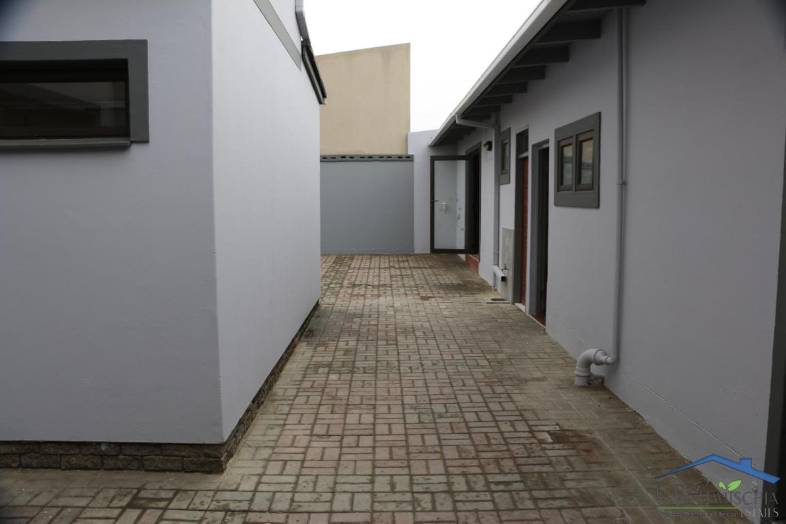 768561_mini_IMG_6284.JPG