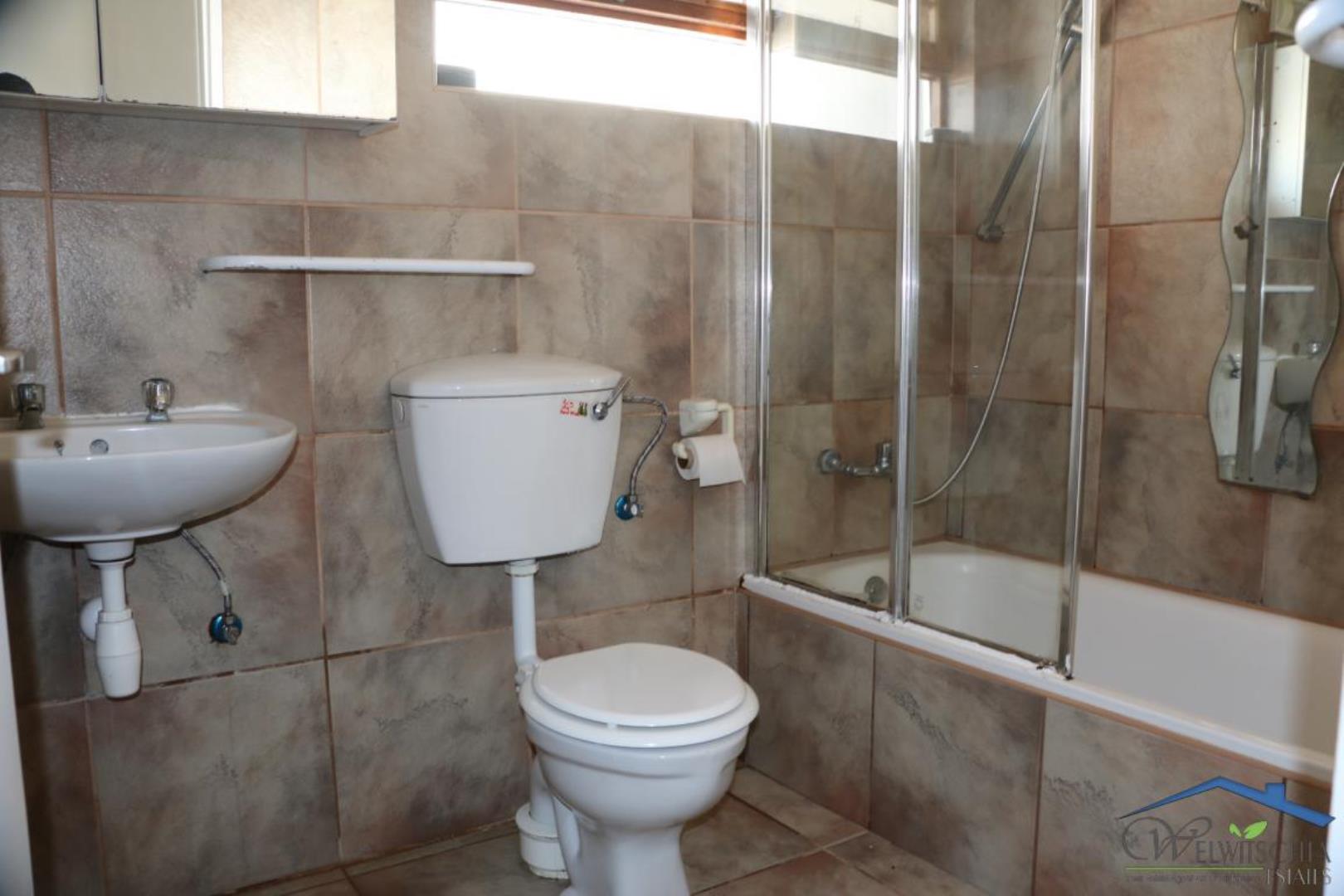 768571_mini_IMG_6226.JPG